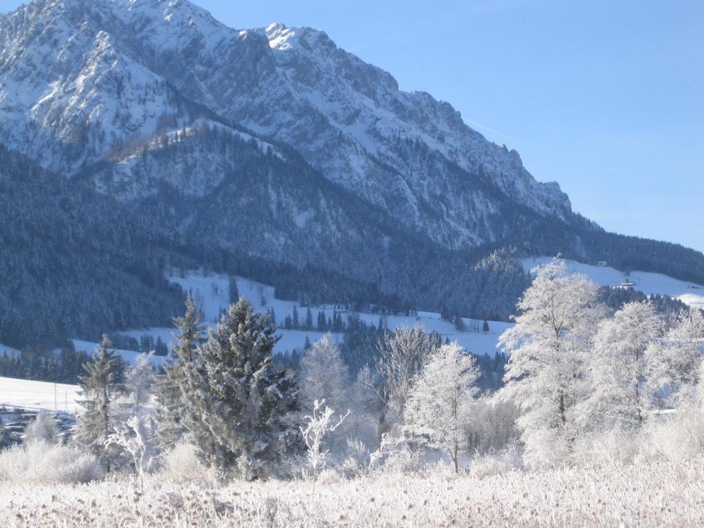 Gaestehaus Fahringer Walchsee Exterior foto